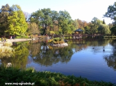 Ogród japoński we Wrocławiu